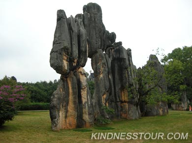 Stone forest tour
